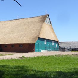 Reetdächer Hermann Suhr Schleswig-Holstein