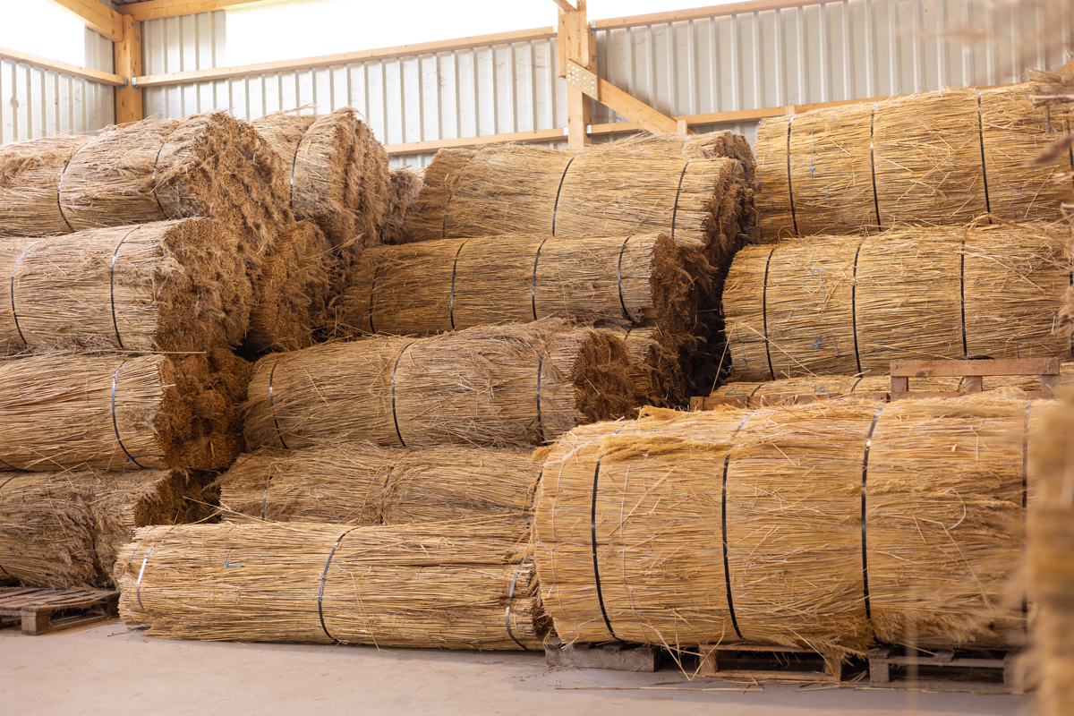 Dach decken mit Reet